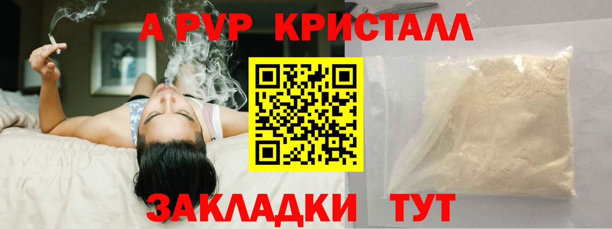 A PVP СК Мурманск
