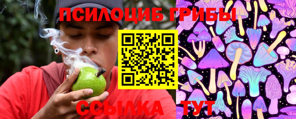 Галлюциногенные грибы Magic Shrooms  Вход с VPN  Псилоцибиновые грибы GOLDEN TEACHER  Мурманск 