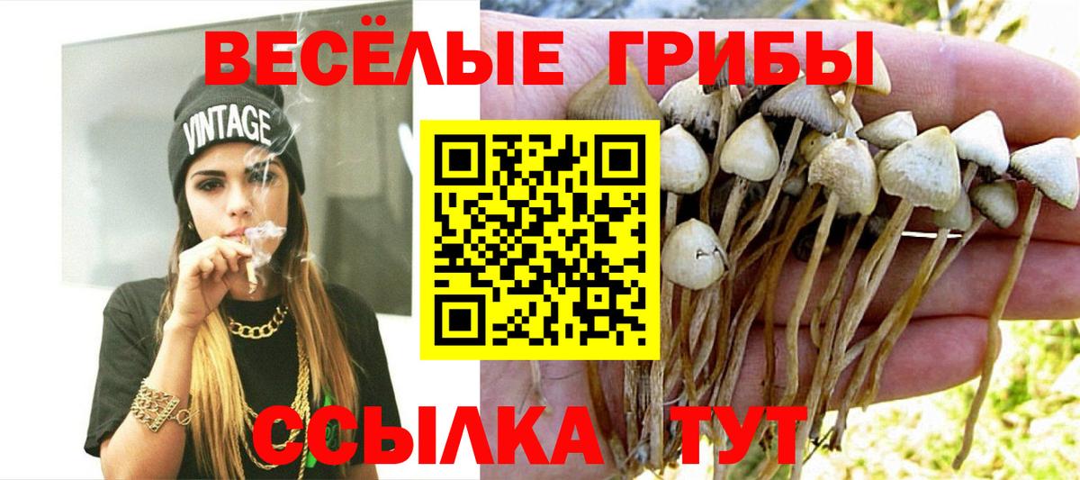 Галлюциногенные грибы ЛСД Мурманск